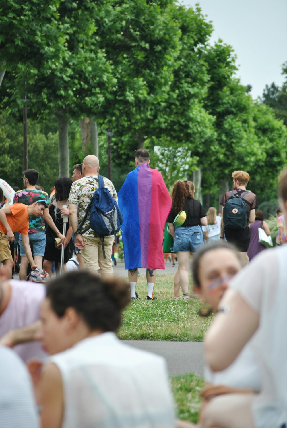 people near green leaf trees