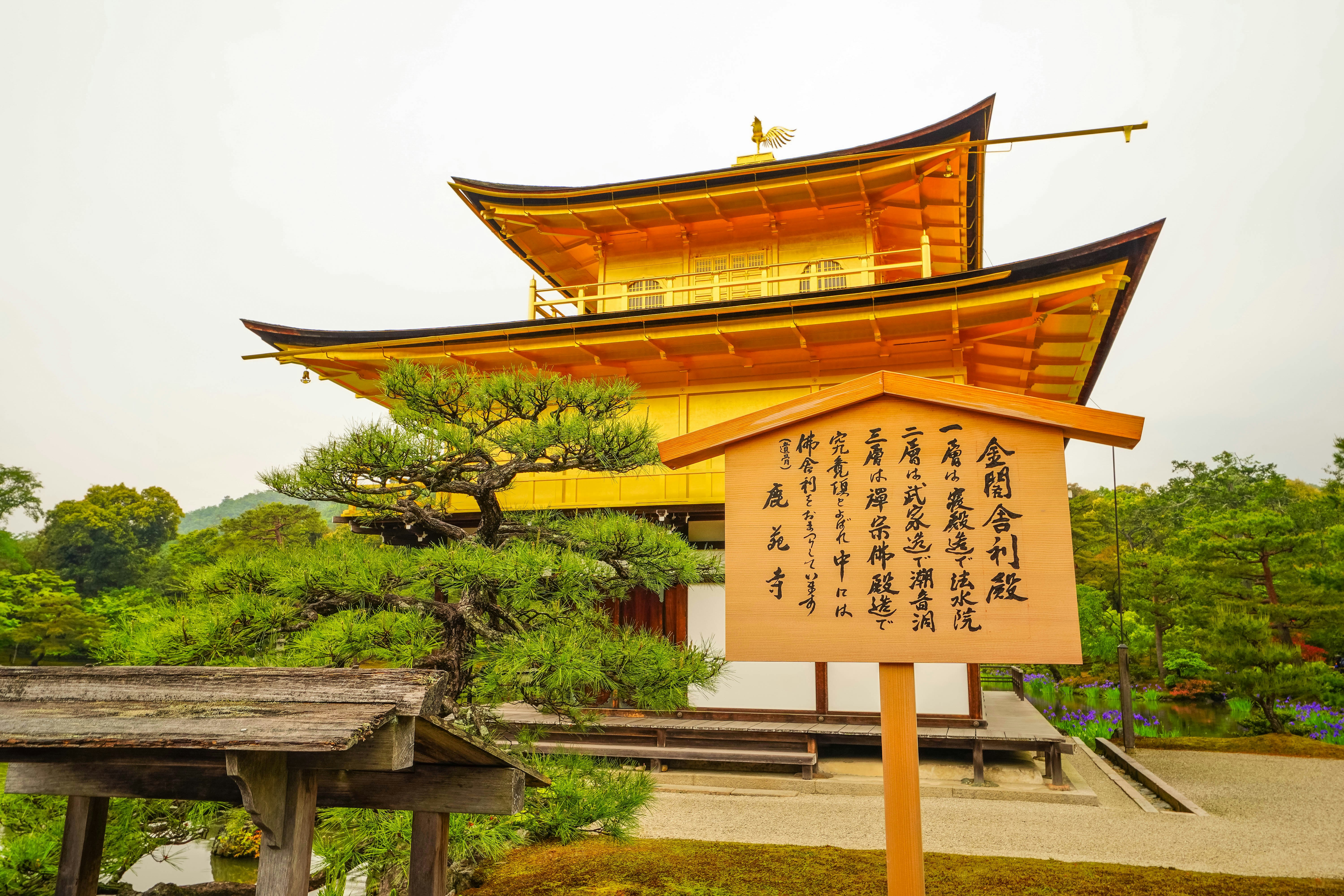 Descubriendo Ginkaku-ji: El Templo Plateado de Kioto y sus Curiosidades