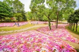 Nearby scenic park with walking paths and blooming flowers.