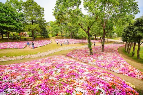 A vibrant park pathway lined with blooming flowers and visitors enjoying a sunny day.