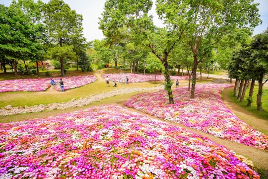 A community gathering in a lush green park with blooming flowers and walking paths.