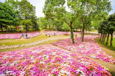 A picturesque park in Berlin filled with blooming flowers.