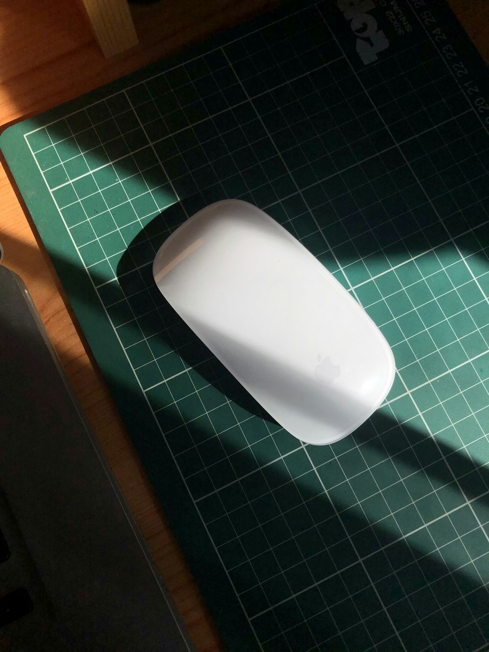 weiße Apple Magic Mouse