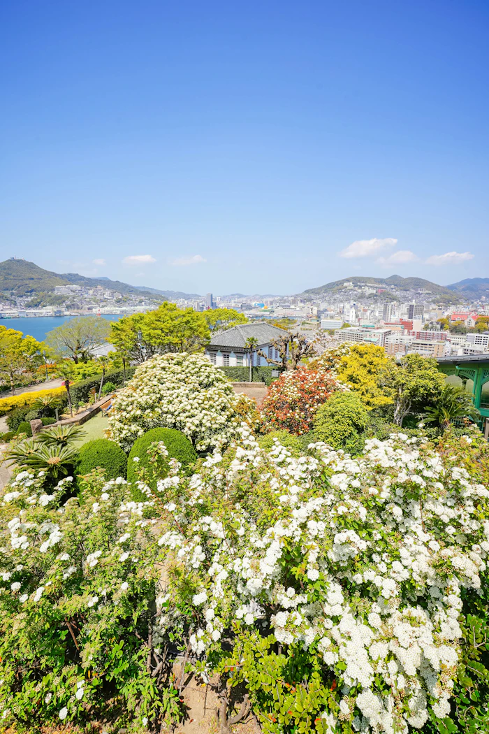 グラバー園・長崎の桜
