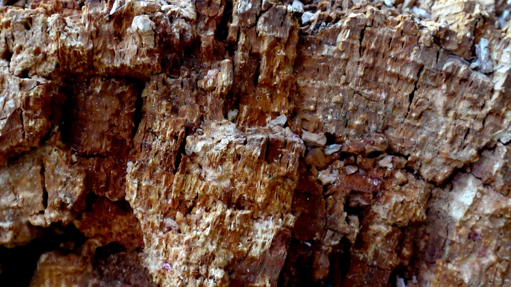 brown rocks during daytime