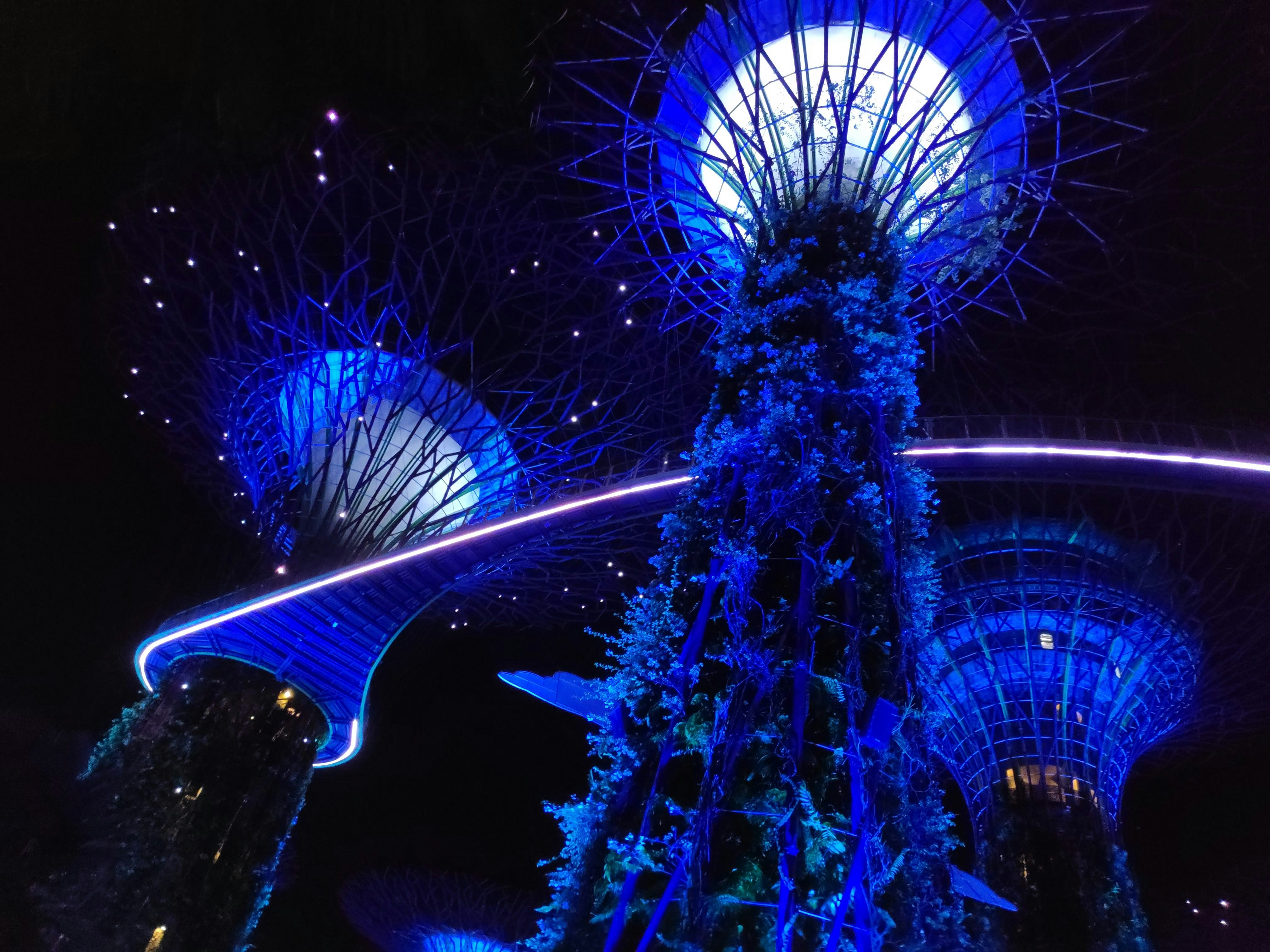 Photo by childrenofrevolution