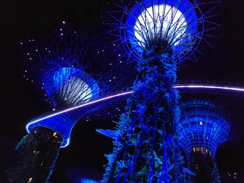blue towers