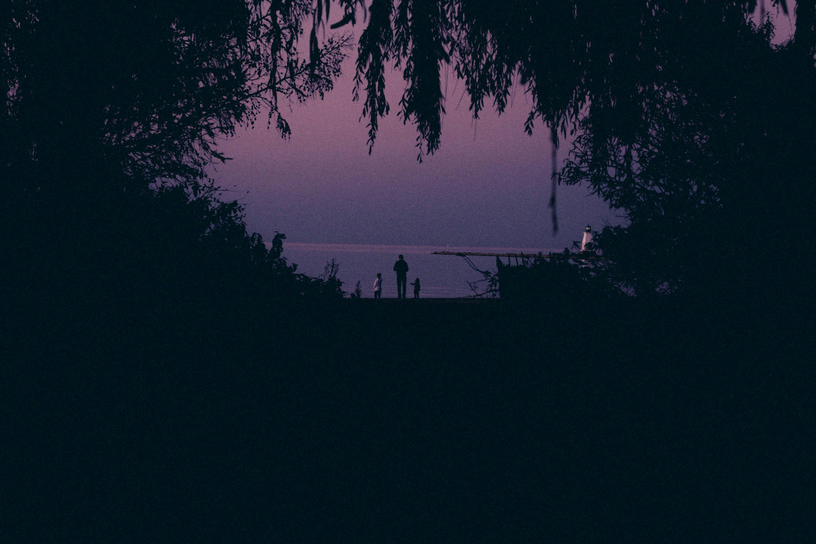 silhouette of man standing near the tree