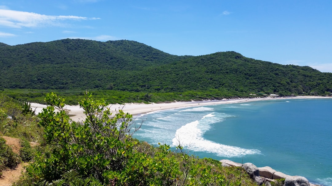 Beach photo spot Praia de Naufragados Florianópolis