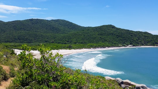 Praia de Naufragados things to do in Lagoinha do Leste