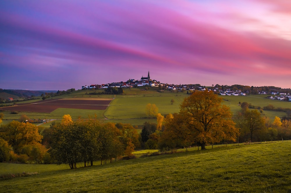 Grüne Wiese