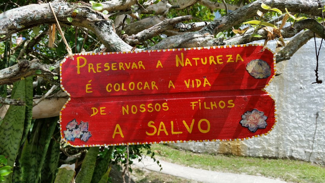 Nature reserve photo spot Florianópolis Brasil