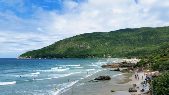 Matadeiro Beach things to do in Florianópolis
