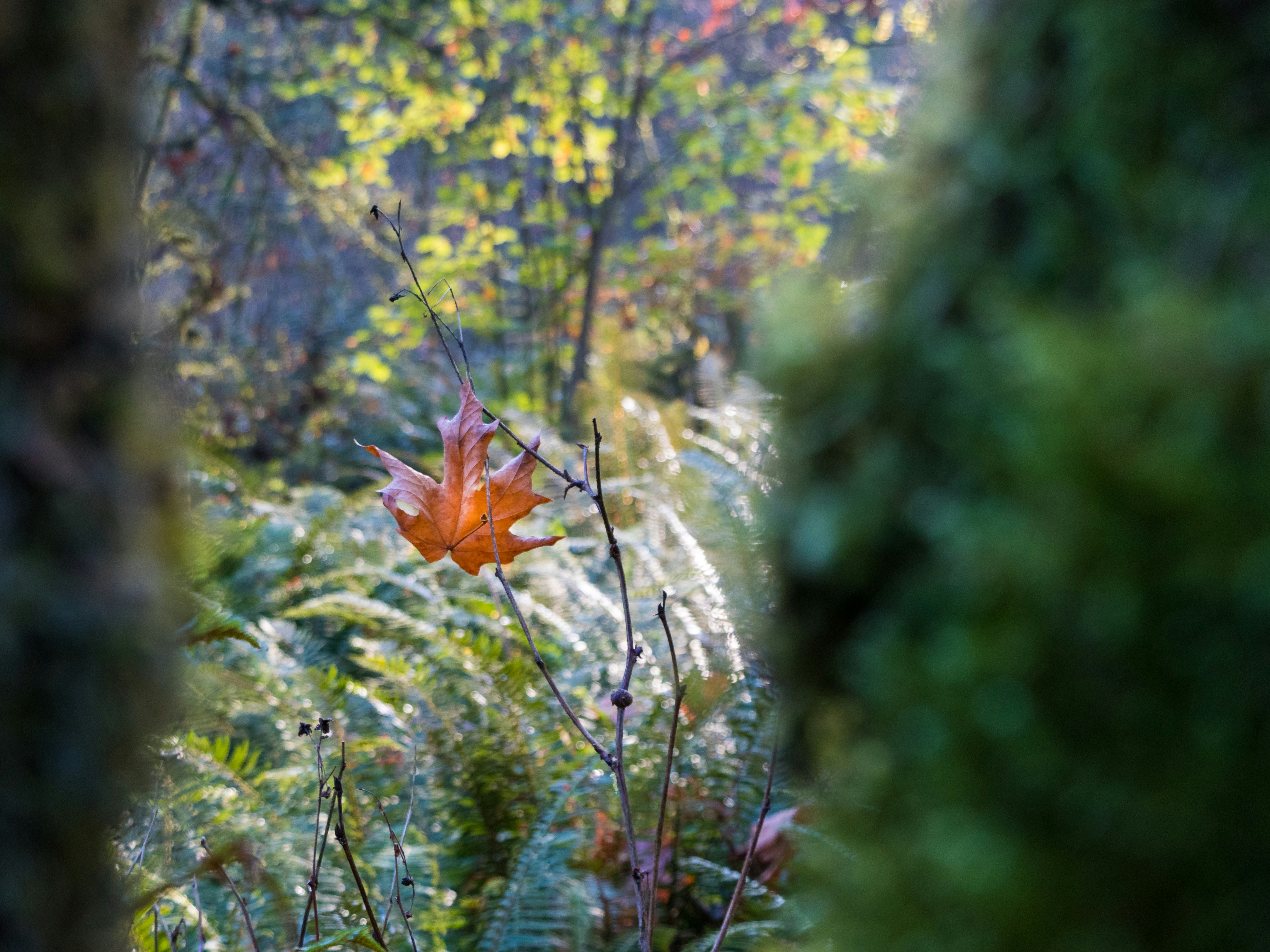 Photo by greg_rosenke