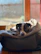 A happy dog resting comfortably on a soft pet bed indoors.