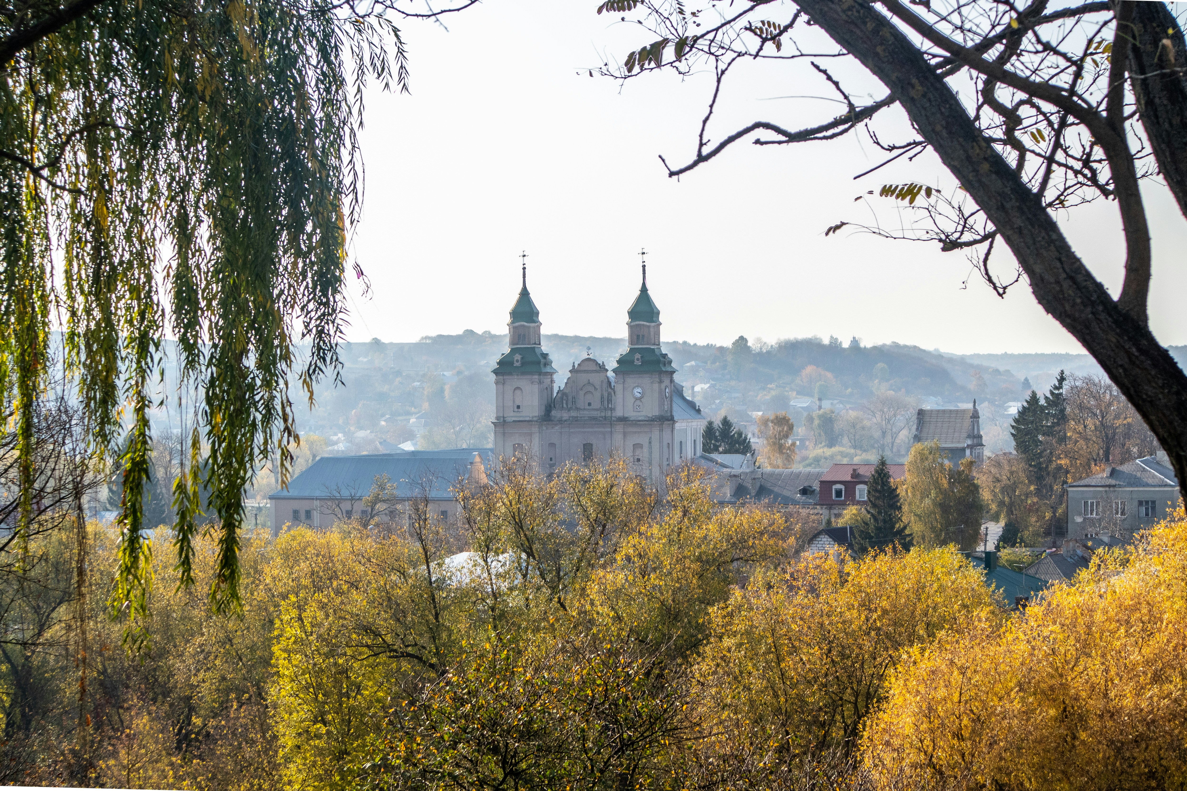 Photo by serhiy_raskoley