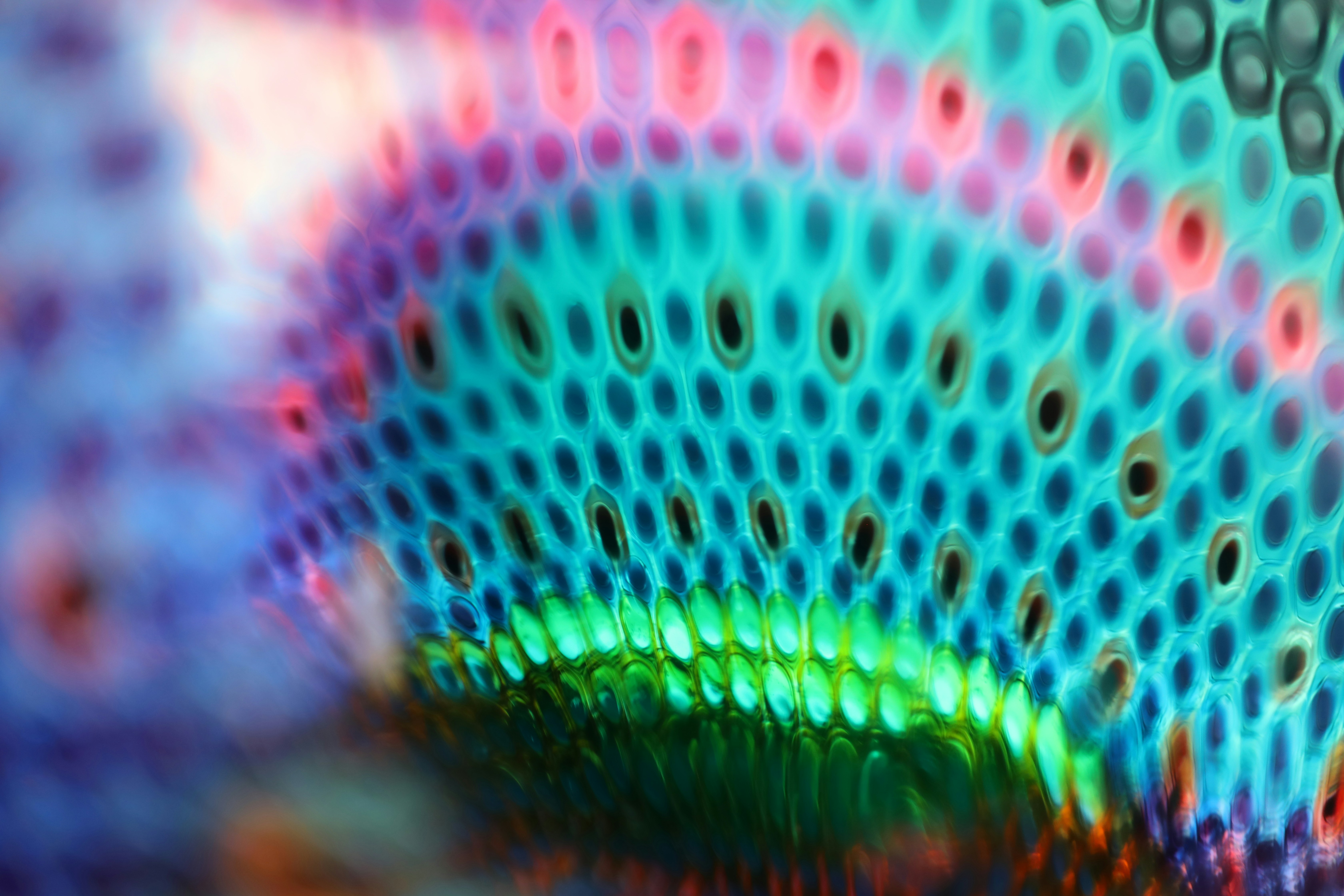 Photo by michaelbweidner