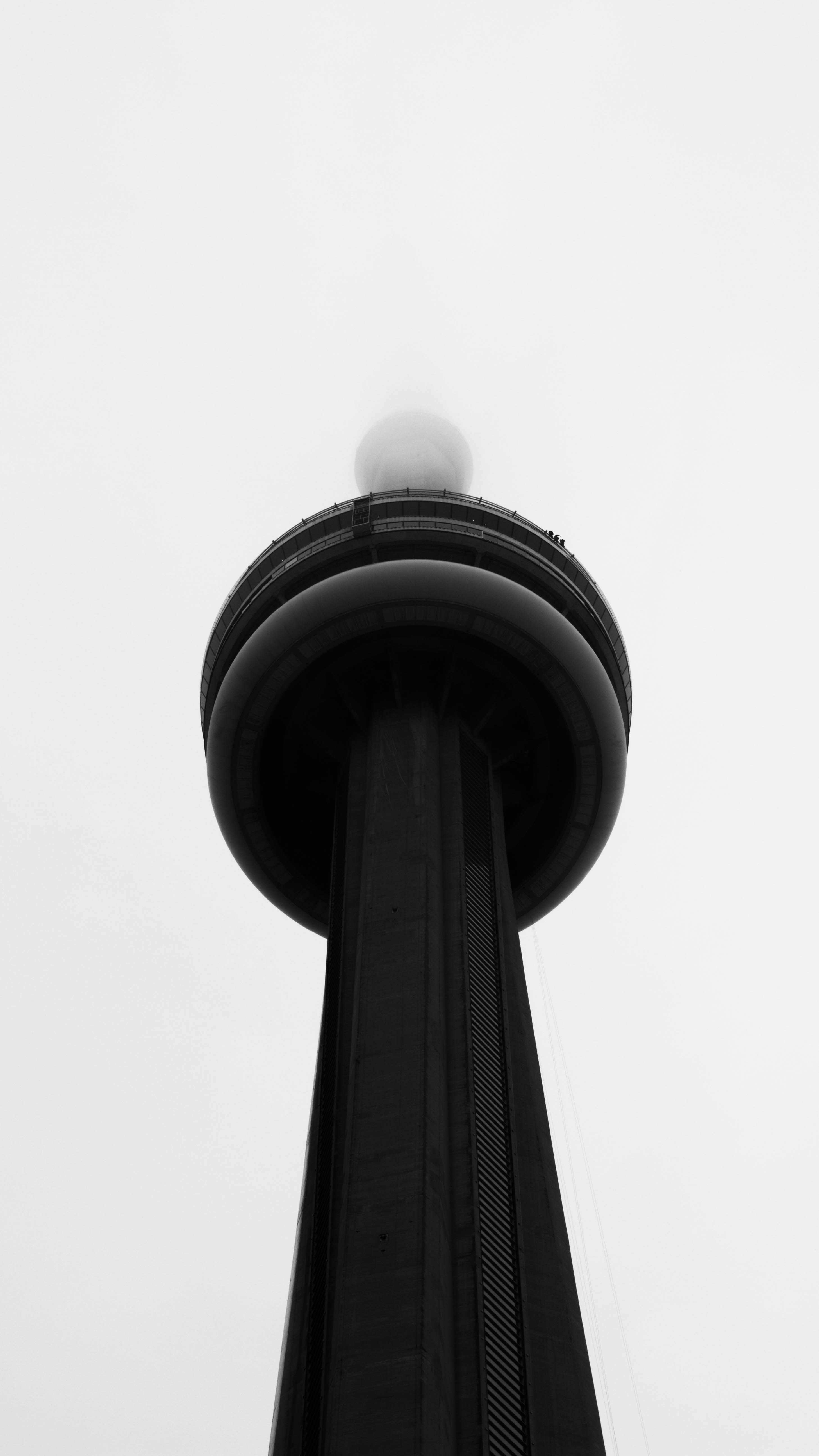 Photo by mattpunsplash