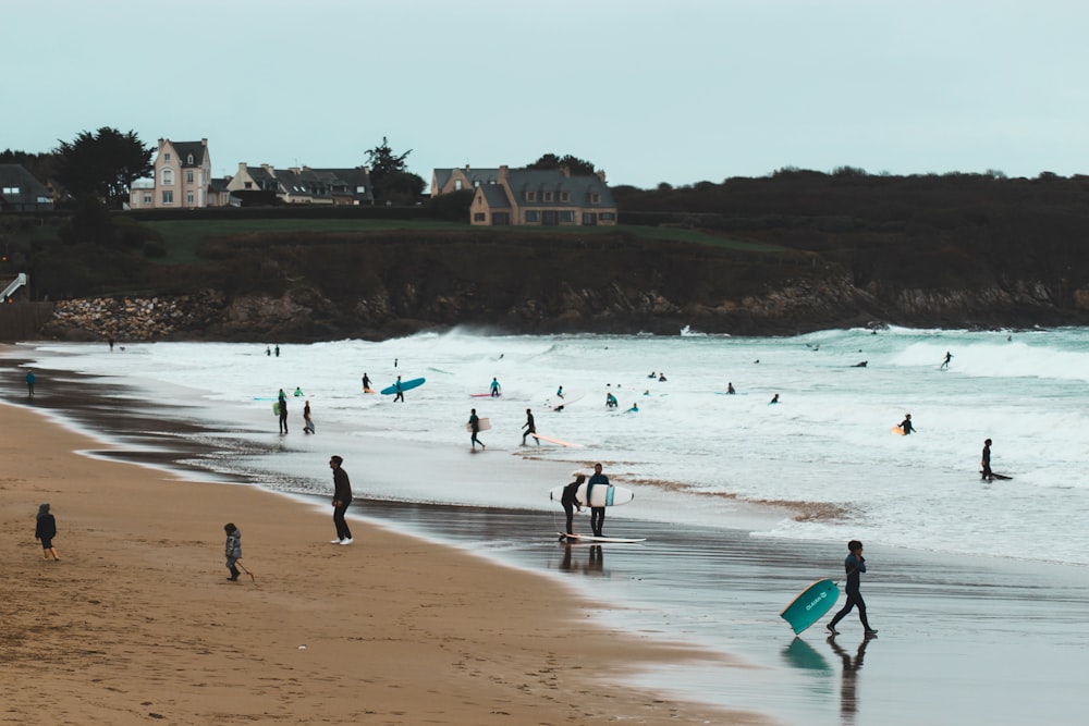 people walking on seashore during daytime