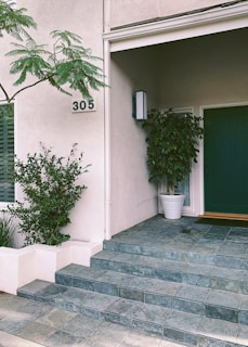 A welcoming office entrance with a green door and a small potted plant, reflecting Greencoat Housing's friendly atmosphere.