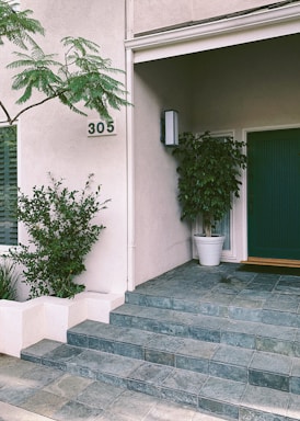 A welcoming office entrance with a green door and a small potted plant, reflecting Greencoat Housing's friendly atmosphere.