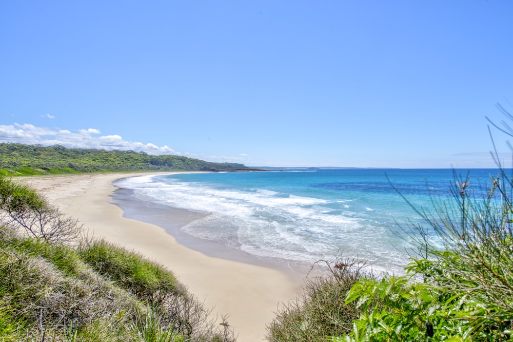 beach line under blue sky