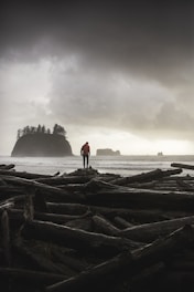 photo of person wearing orange sweater standing on logs