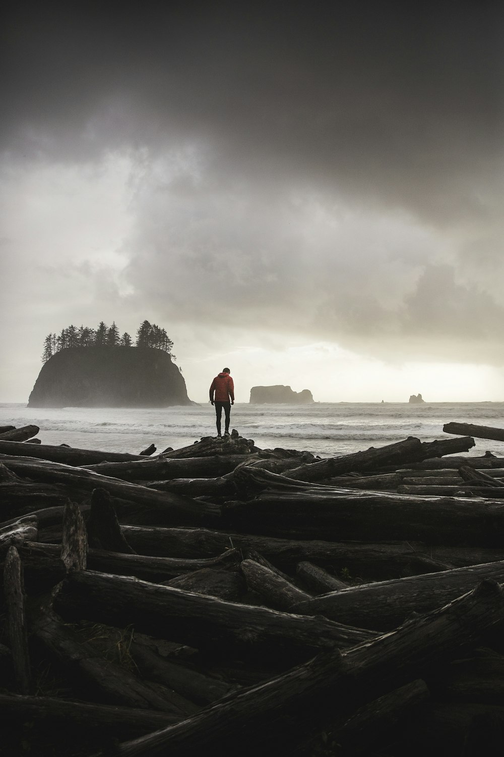 photo of person wearing orange sweater standing on logs