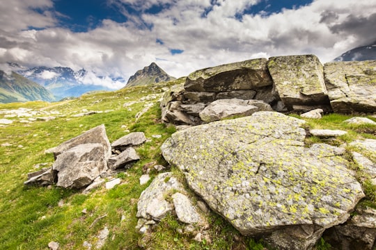 green grass under white ly in Berninapass Switzerland