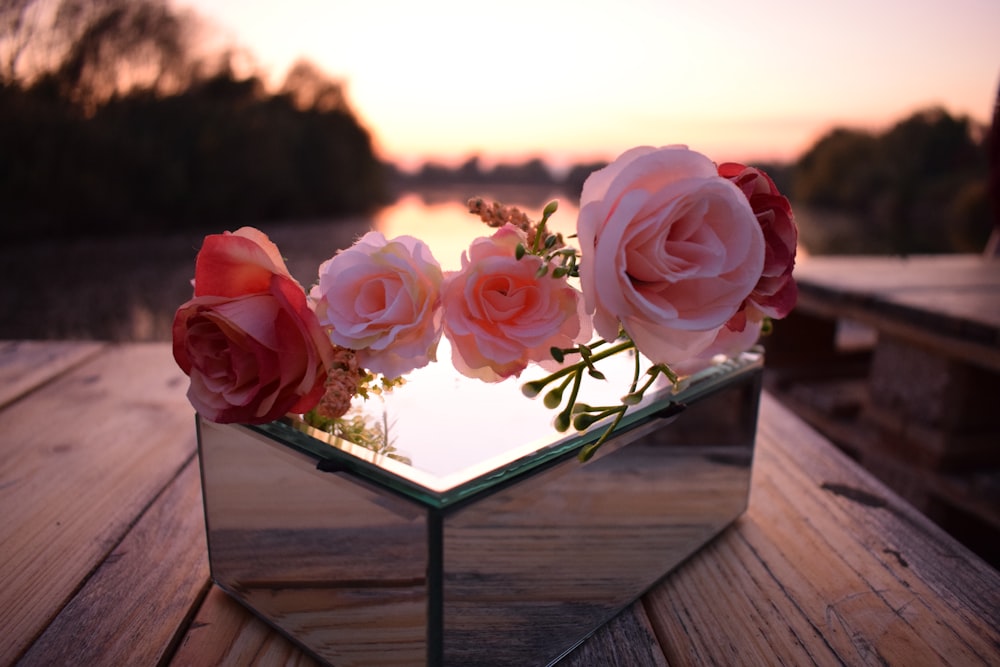 four pink rose flowers