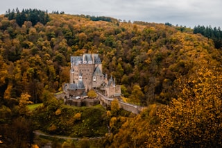 brown castle surrounded by trees under white sky