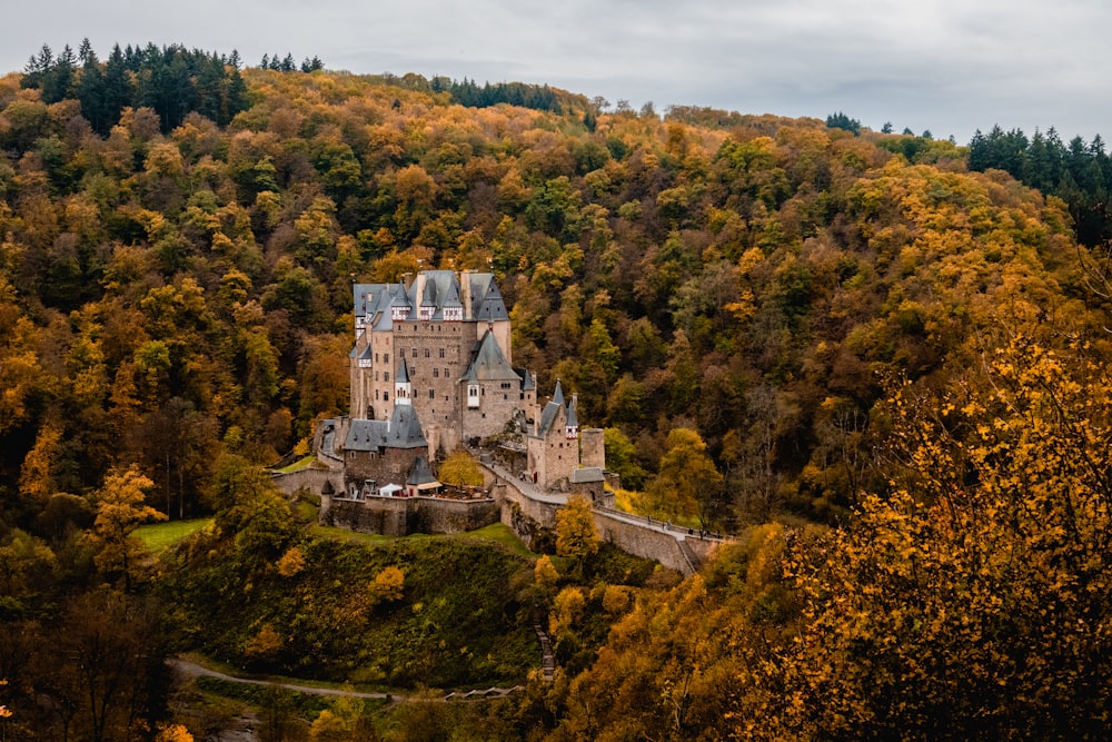 Braunes Schloss umgeben von Bäumen unter weißem Himmel