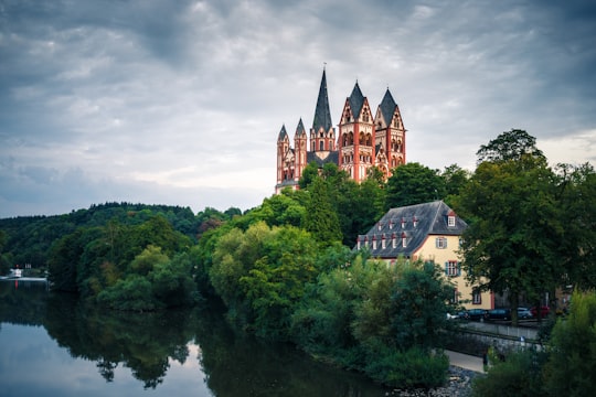 houses surrounded by trees under clouds in Limburg Cathedral Germany