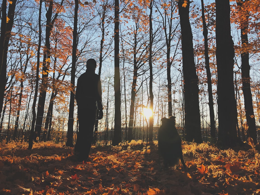 man and dog standing near trees