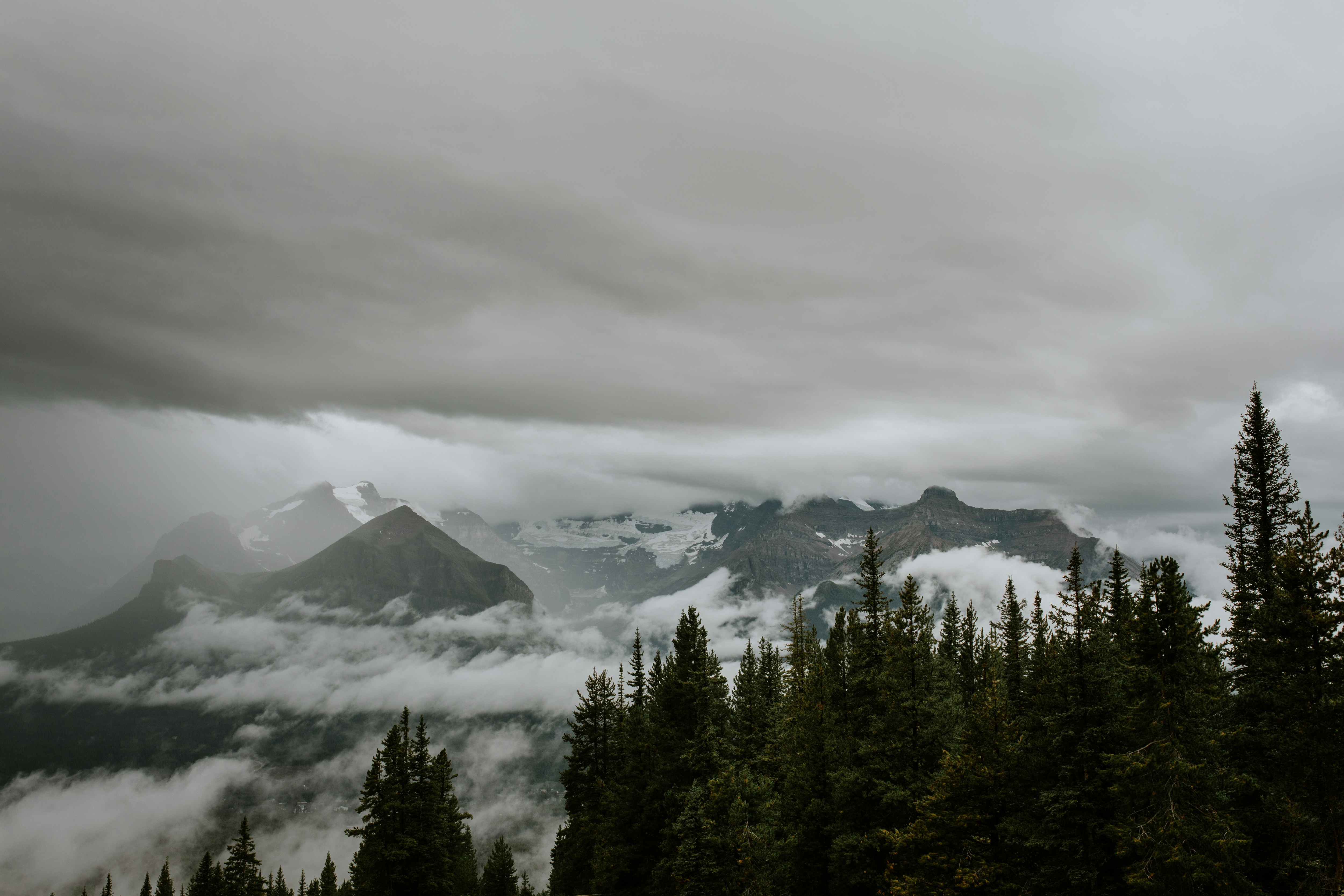 Photo by anitajeaninephotography