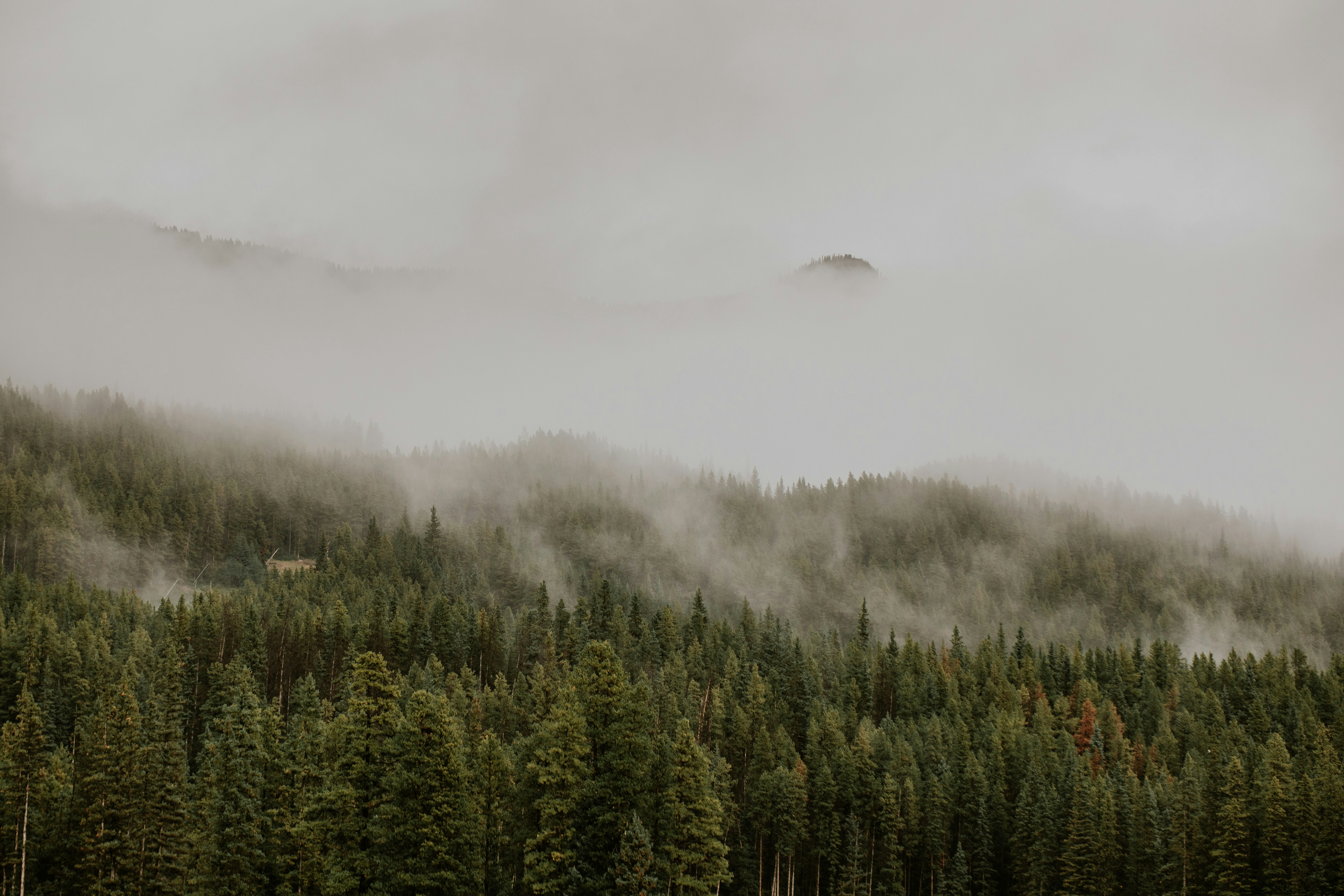 Photo by anitajeaninephotography