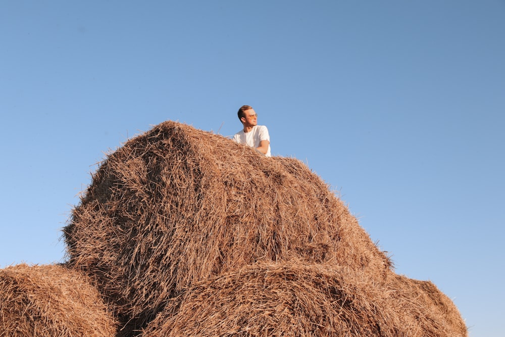 man sitting on hay