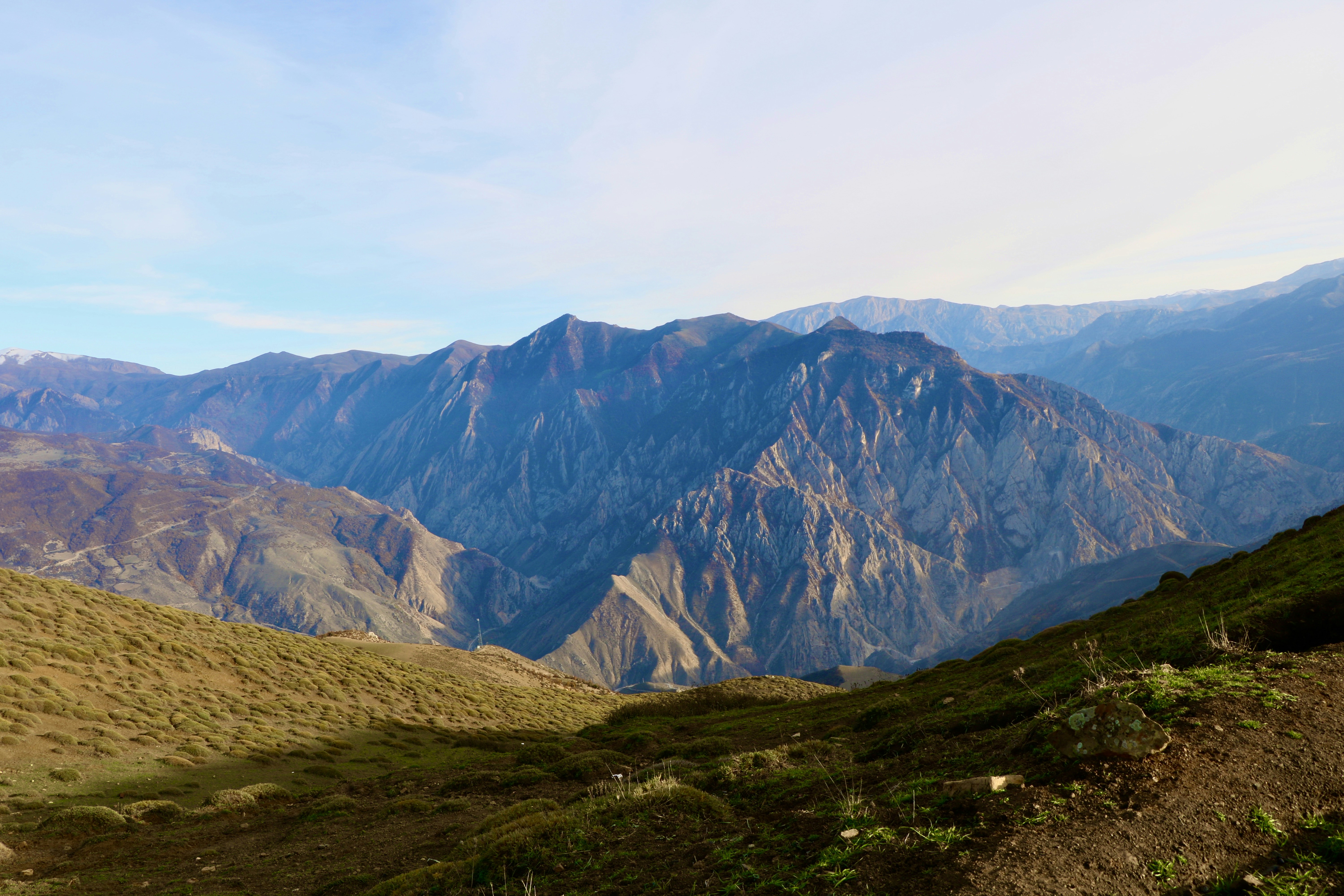 Photo by shoeib_photography