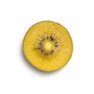 slice of fruit