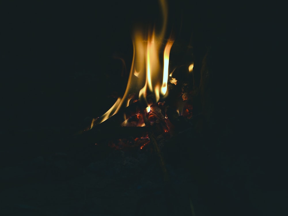 fire burn