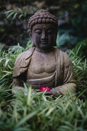 buddha statue - bereitgestellt von Von Jason Leung / Unsplash