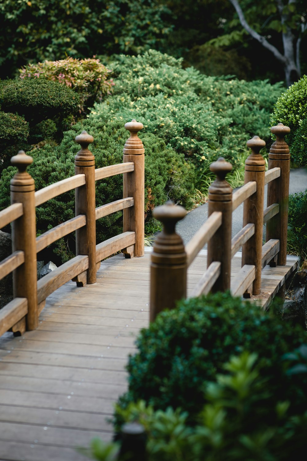 brown wooden bridge photograph