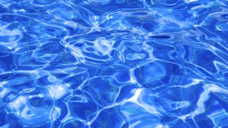 body of water