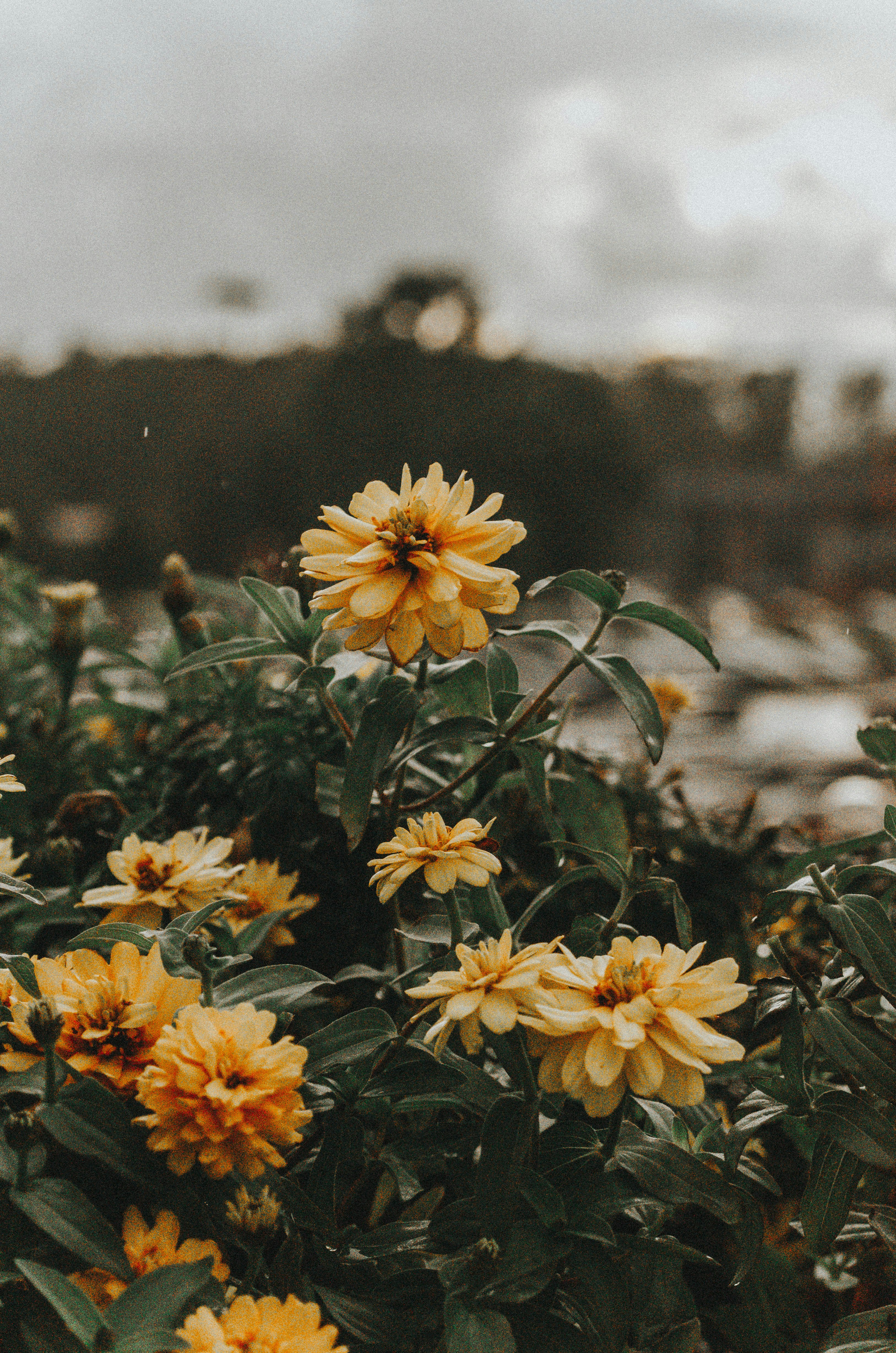 Photo by kreekersd