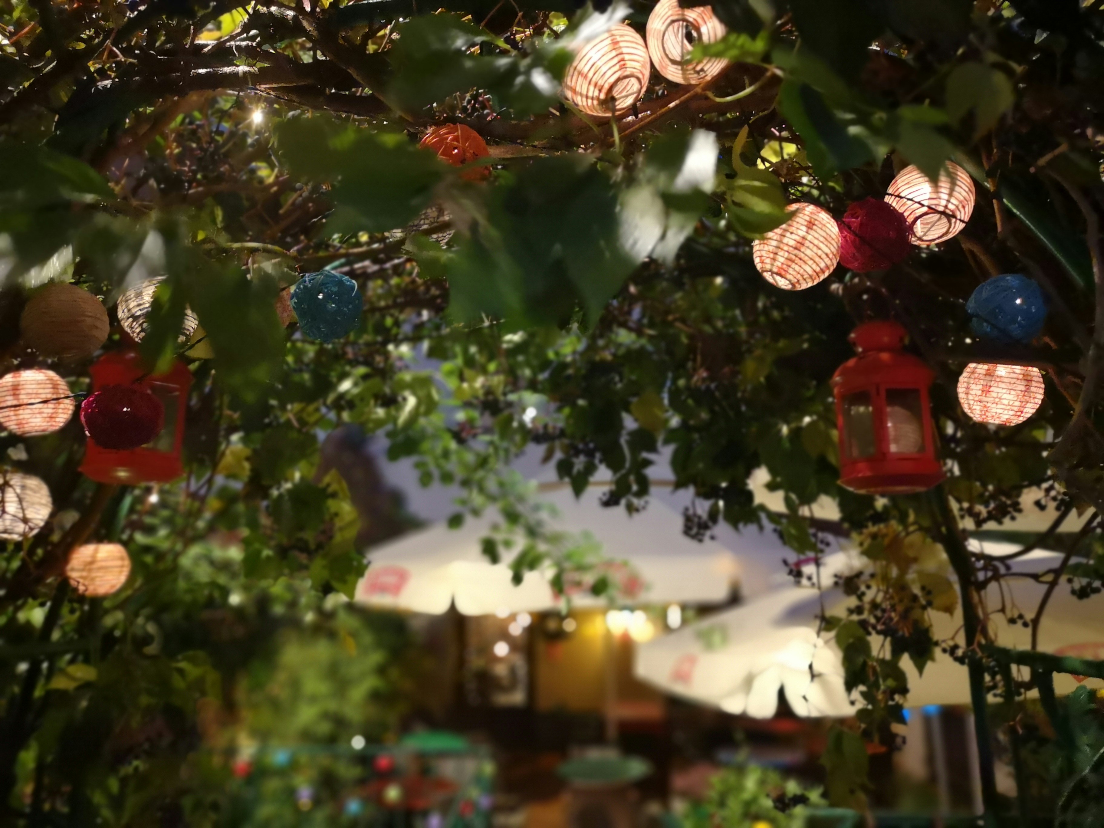 Photo by mariadilorenzo