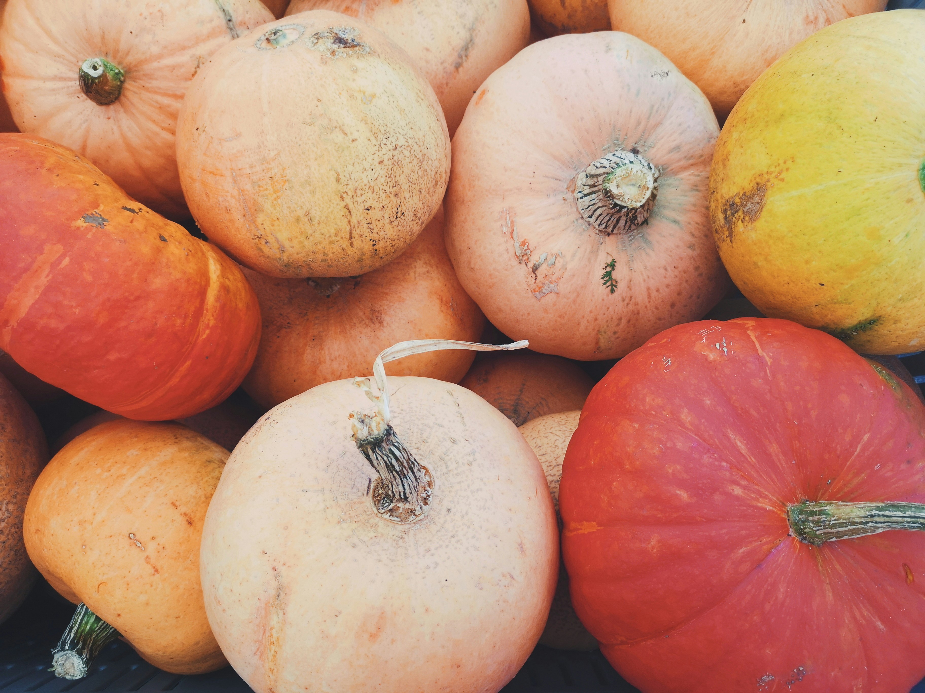 Photo by mariadilorenzo