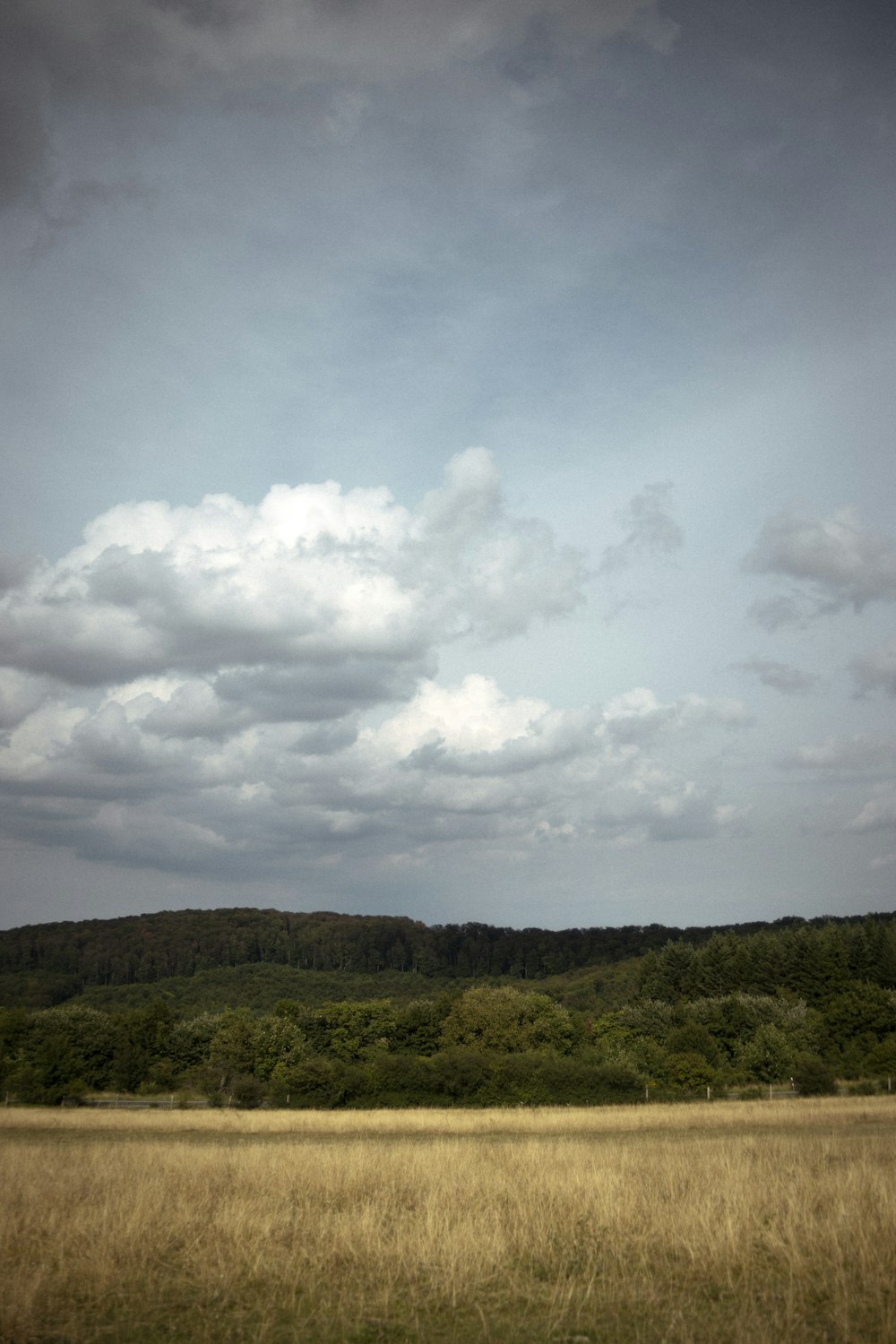 Braune Felder unter bewölktem Himmel während des Tages