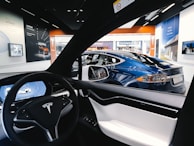 Local artwork displayed inside the Tesla, reflecting the creative spirit encountered on the journey.