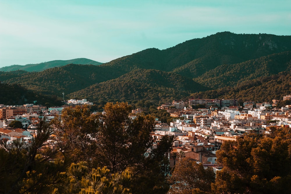 white and brown buildings and trees