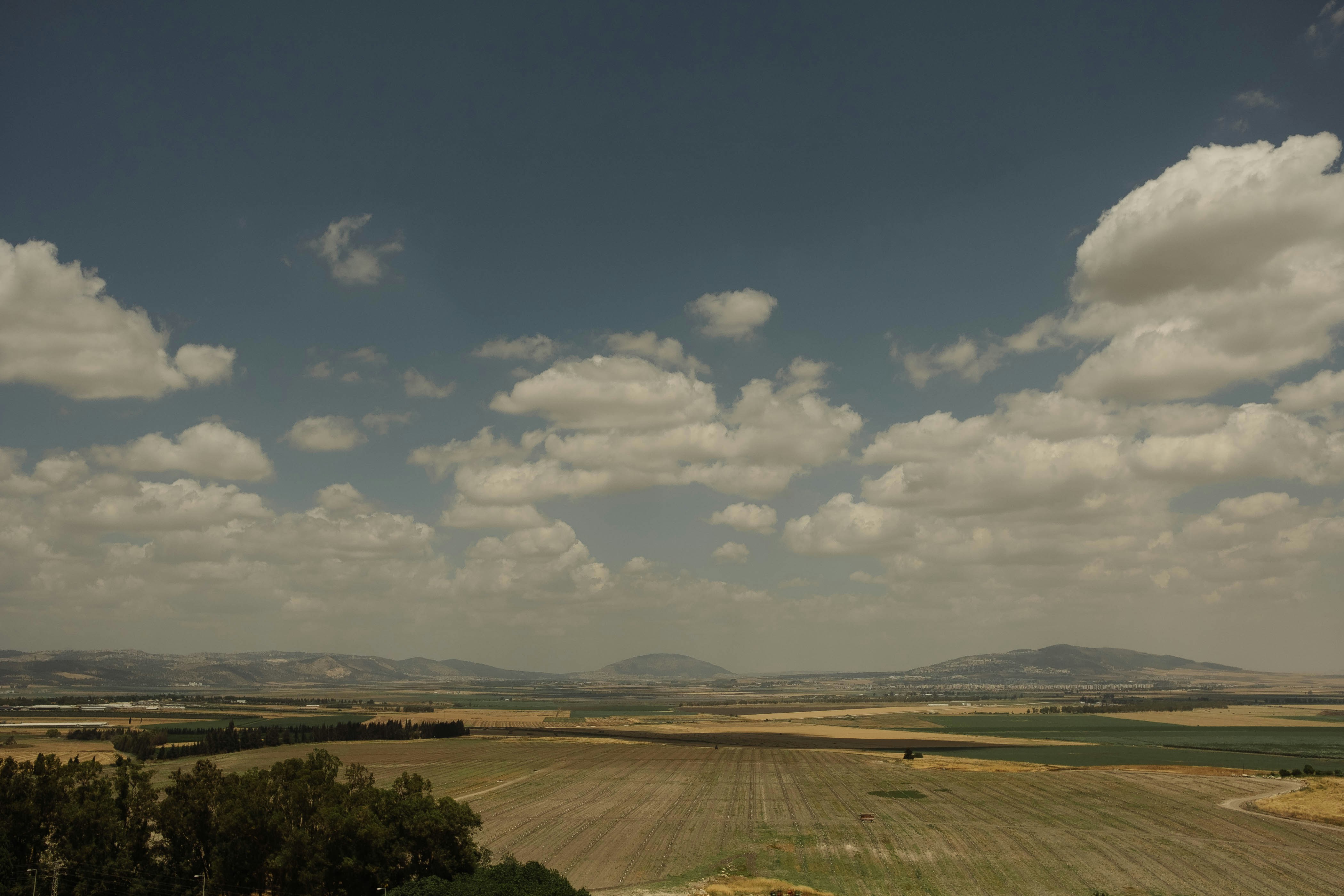 Photo by itsmattgates